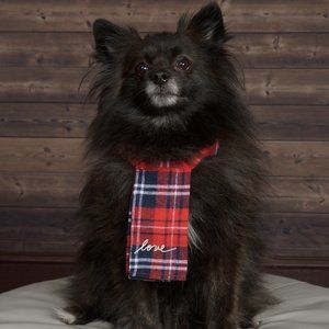 Meet your Posher, Lee